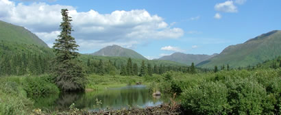 Beaver dams dot the landscape at Hatcher Pass